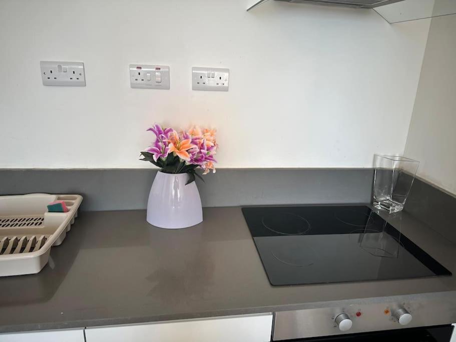 Flat 303 One Bedroom Apartment Birmingham Kültér fotó